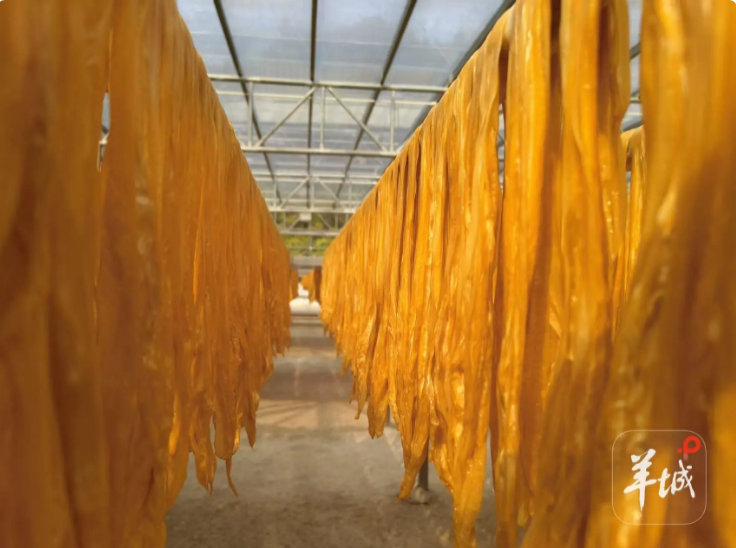 1761801048838731.png 微信图片_20251030130902_156_2.png