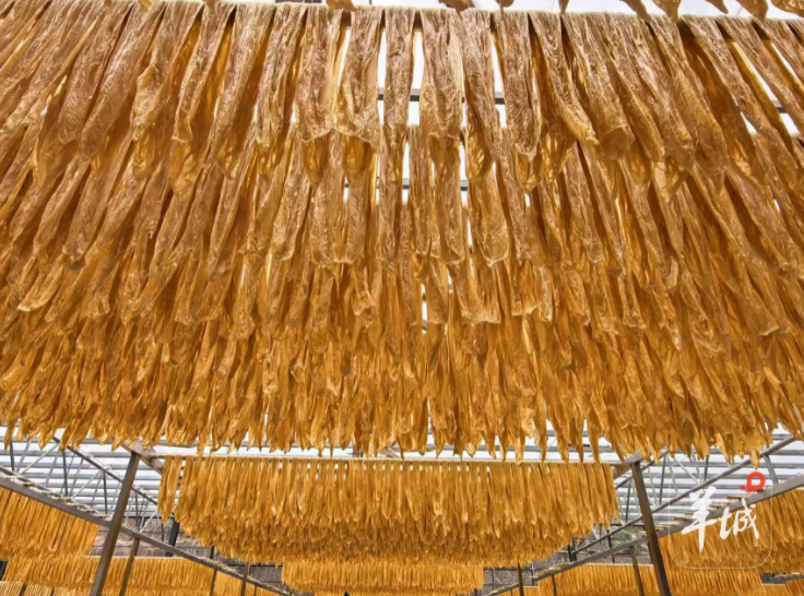 1761801063763812.png 微信图片_20251030130926_158_2.png