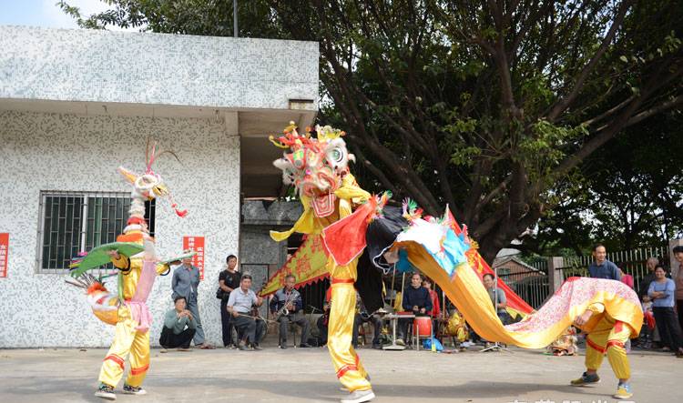 正文 为了让广大市民更深入了解麒麟引凤这项传统活动,东莞文化馆