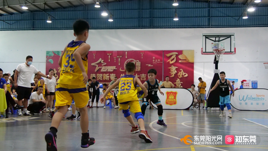 CBA中文网——中国男子篮球职业联赛赛程比分+球队数据+盘口分析2026年“邕BA”总决赛最强对决！青秀区队迎战武鸣区队赛程全解析