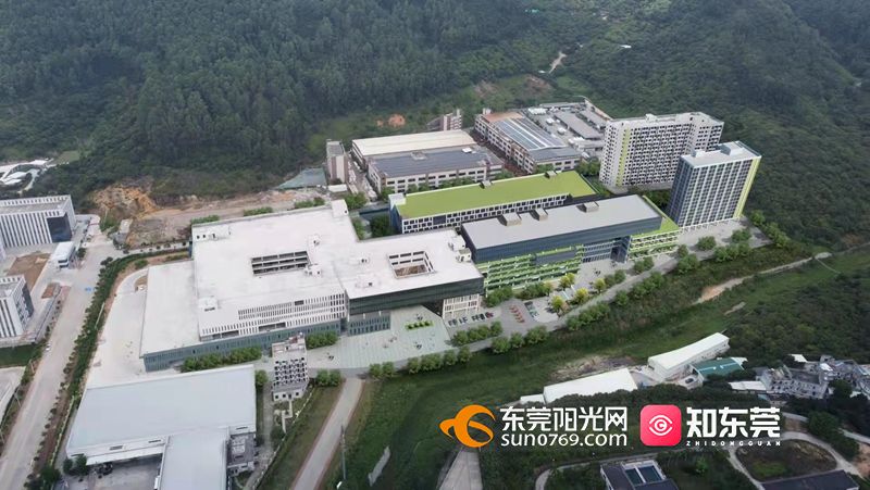 1632556084791162.jpg mmexport1632453875600(1).jpg