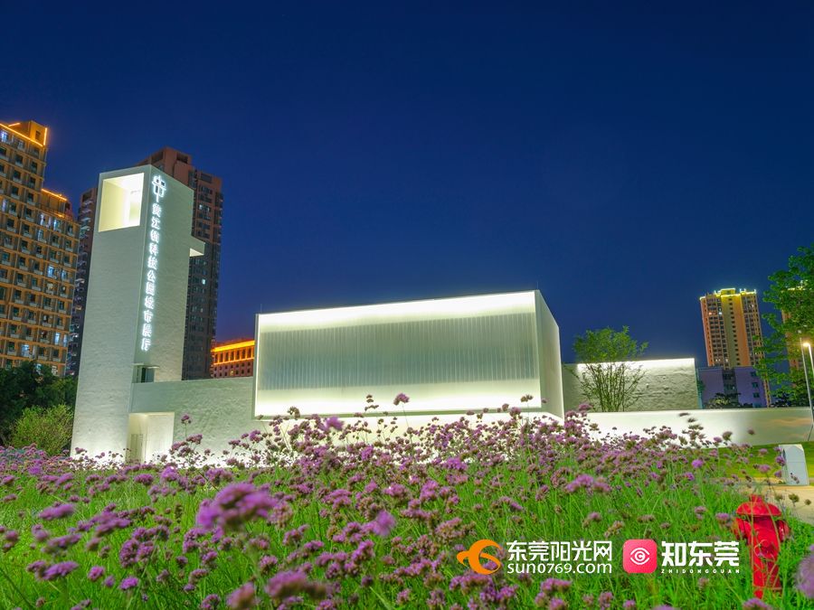 1652946506458878.jpg 3.jpg