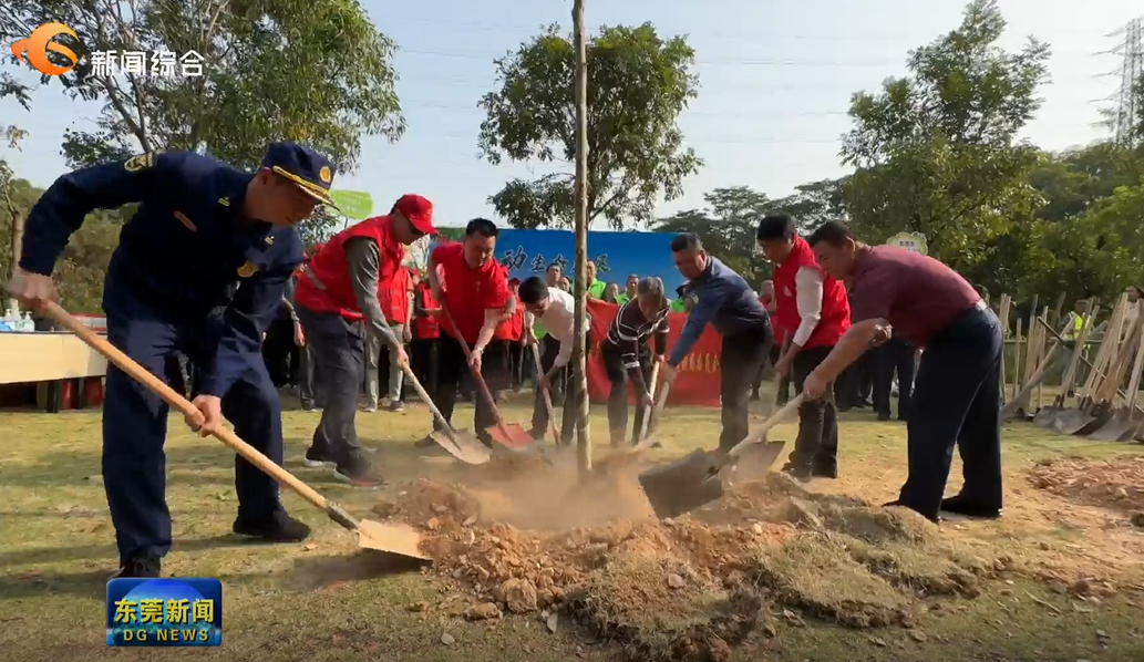 1678455808172118.png image.png