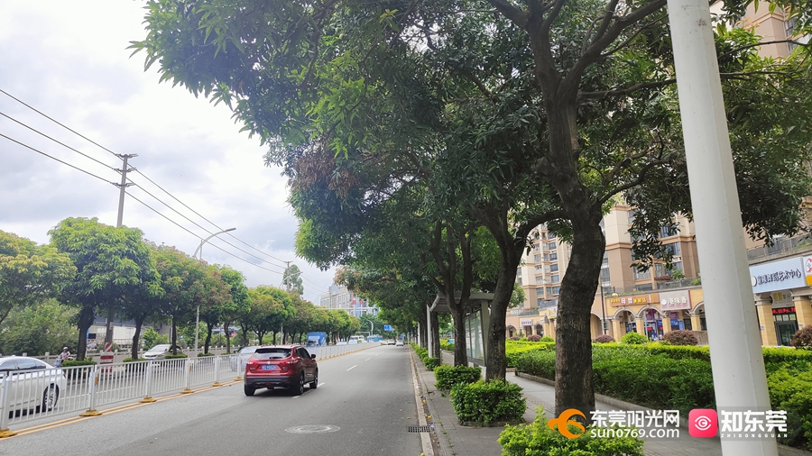 1687332102726372.jpg 3.jpg