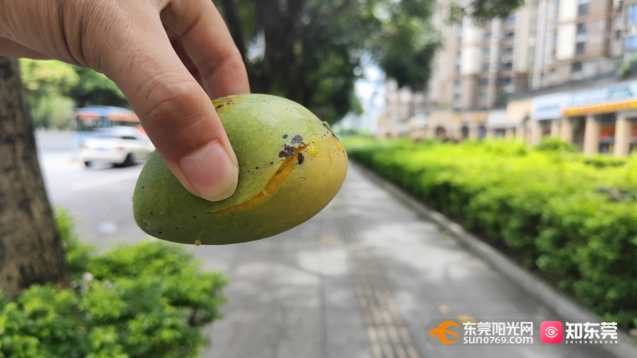 1687331768496520.jpg 5.jpg