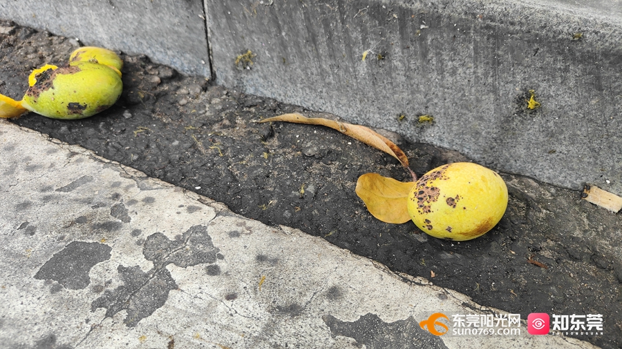 1687332119685028.jpg 2.jpg