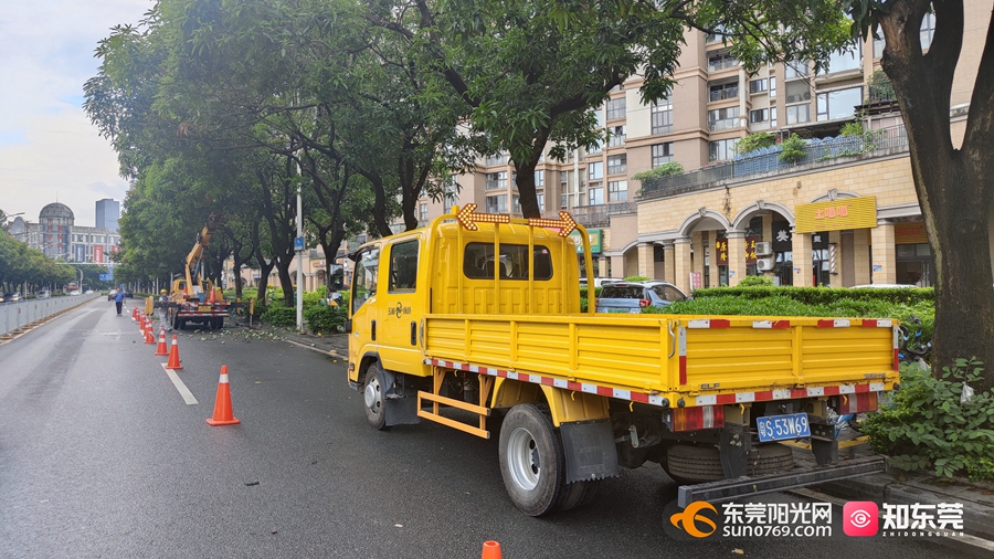 1687331930630486.jpg 6.jpg