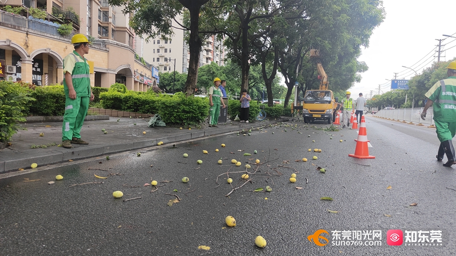 1687332129249088.jpg 9.jpg