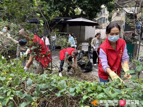 1762949108458166.jpg 图片6.jpg