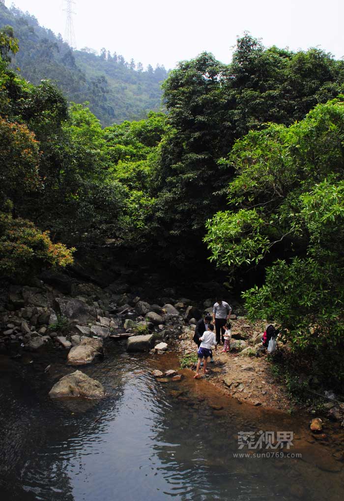 对清溪今后进一步发展生态旅游业,彰显清溪在自然生态及人居方面的