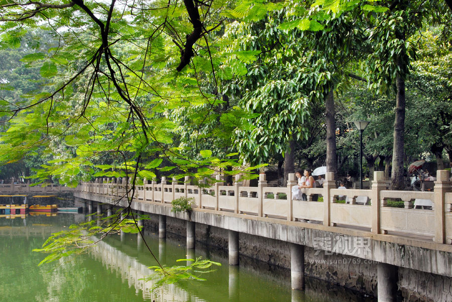 石龙中山公园一角.