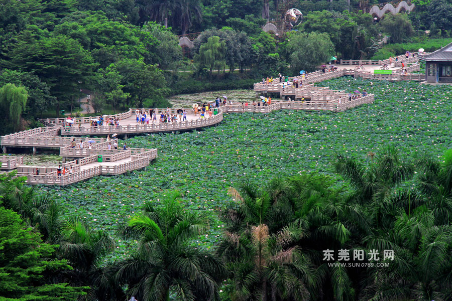 【莞视界】美丽东莞之桥头:一湖两节 美景如画