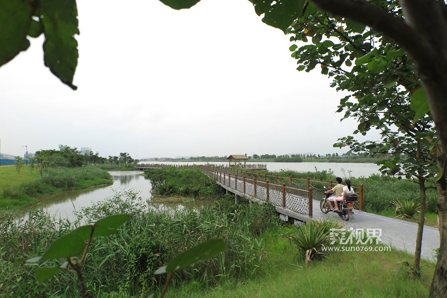 【莞视界】初夏的穗丰年湿地公园 景色醉人