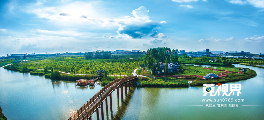 自然环境优越的华阳湖湿地公园