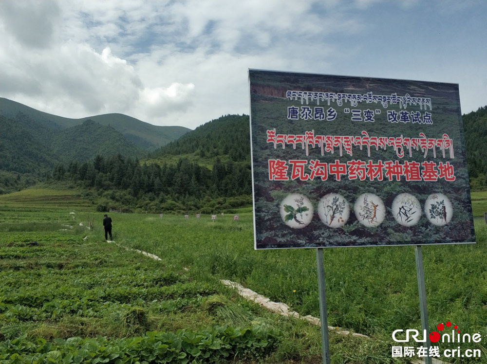 夏河县人口_甘肃夏河县凌晨发生5.7级地震 暂无人员伤亡和房屋倒塌(2)