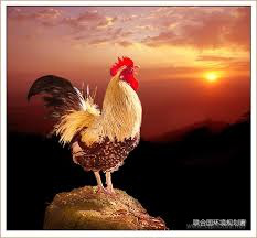 岁月回首 翘首以盼_阳光新闻_东莞阳光网