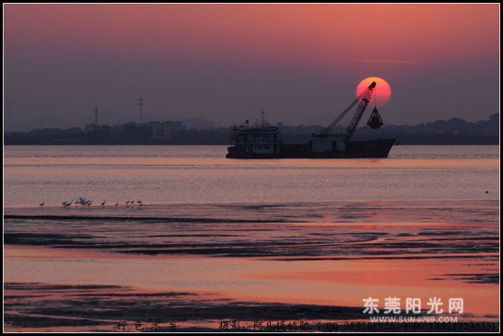 麻涌新沙港欣赏滩涂日落