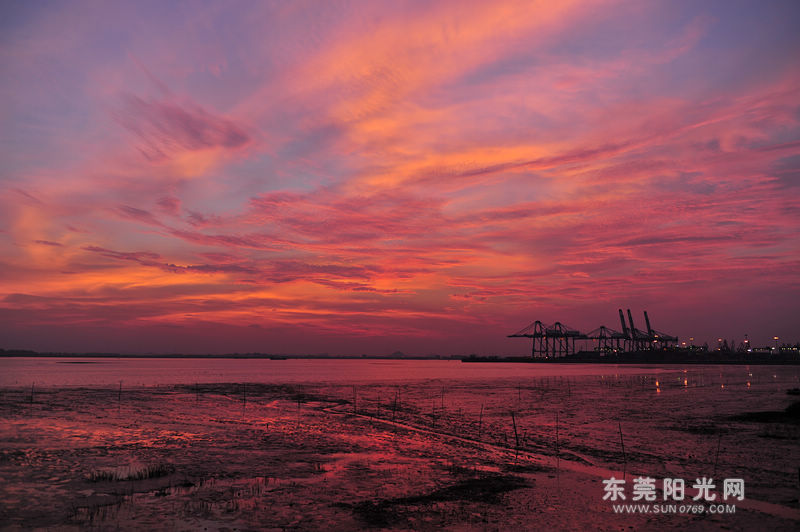 麻涌新沙港欣赏滩涂日落_东莞阳光网