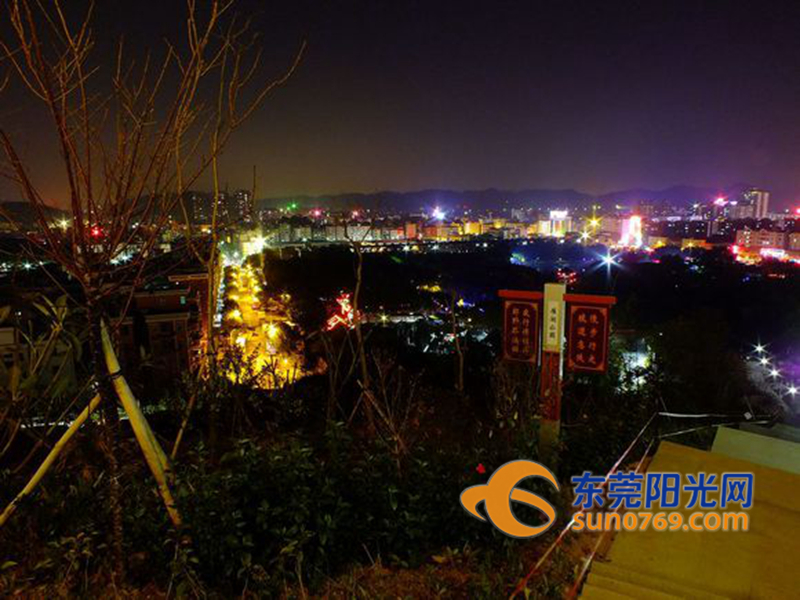 凤岗:网友拍下雁湖公园夜景 美爆(2/9)