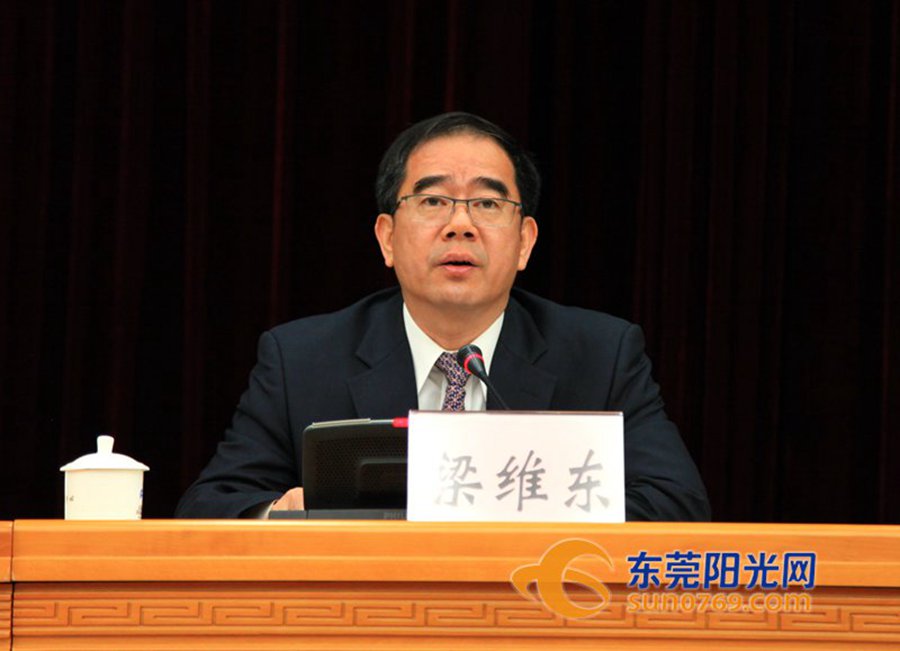 市长梁维东发表讲话