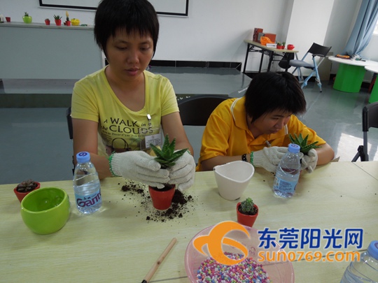 企石:残疾人学当园丁 提高就业机会