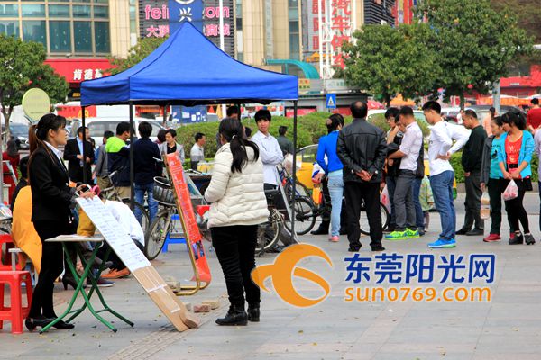 大朗 招聘_2017年度钦州市中小学教师公开招聘工作公告(3)