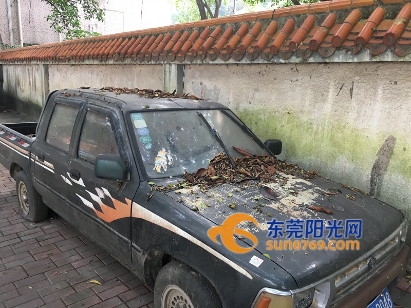 东莞街头的这样"僵尸车" 有你家的吗(3/4)