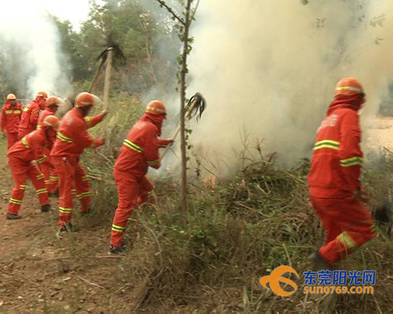 11月18日和19日,清溪镇森林防火指挥部组织人员进行了森林防火演练