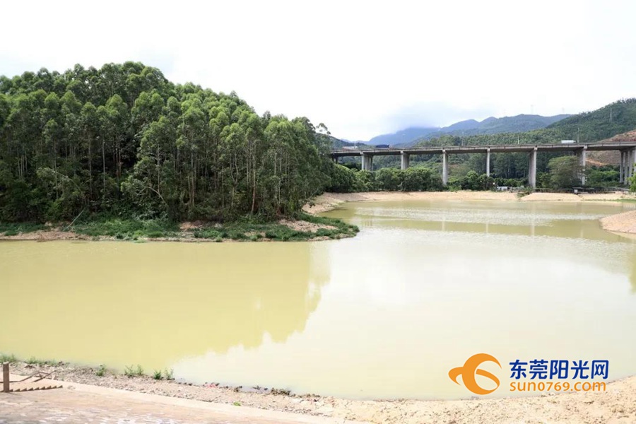 1595297128231256.jpg 202072192233.jpg