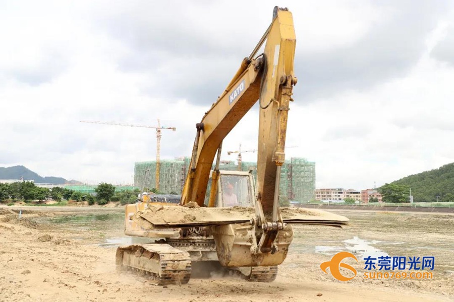 1595297133682003.jpg 20207219220.jpg