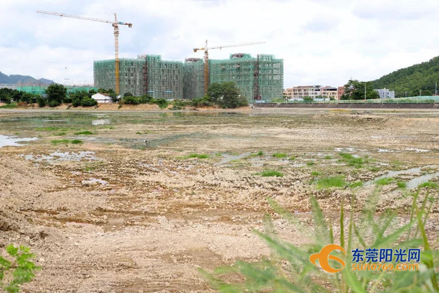 1595297154979543.jpg 202072192226.jpg