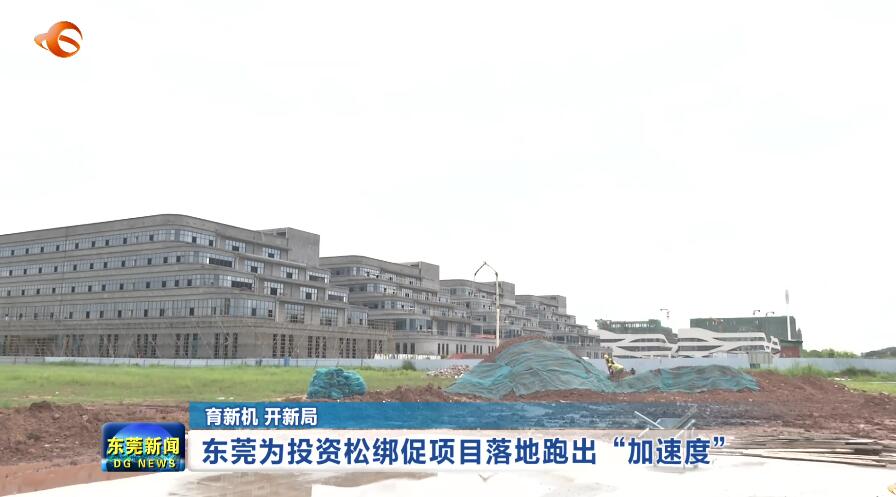 1591531909501246.jpg 9.jpg