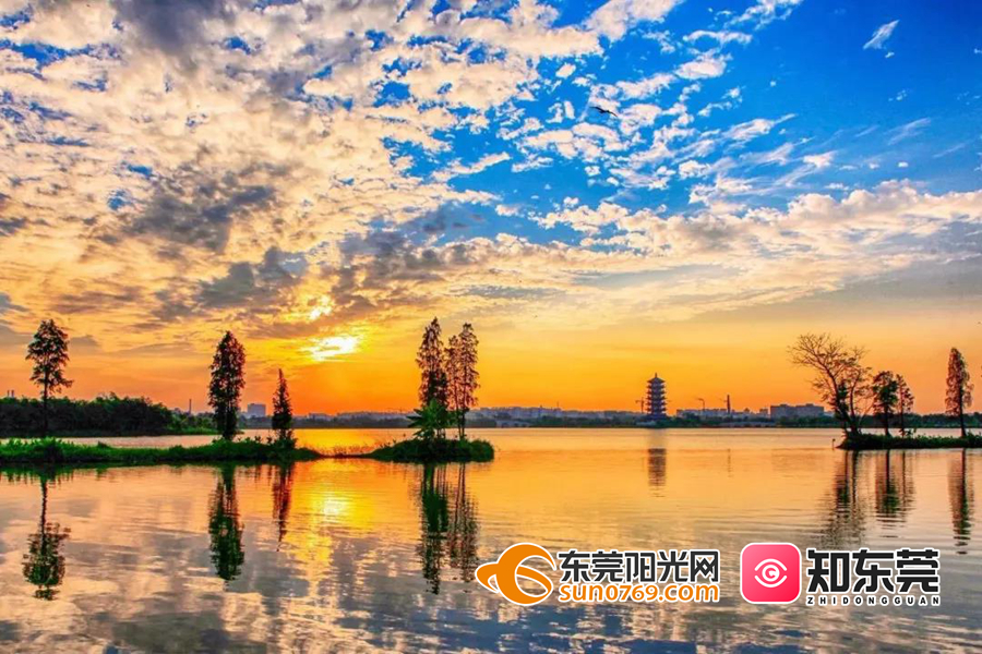 1612229771925081.jpg 麻涌华阳湖_副本.jpg