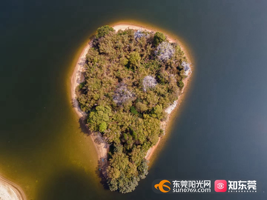 1614240734261670.jpg 3.jpg