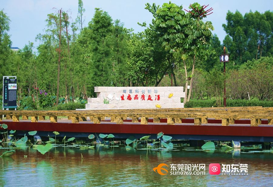 1623296354838195.jpg IMG_6940_副本.jpg