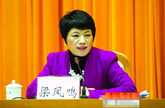 2016年基础教育工作会议在东莞会议大厦召开,教育局长梁凤鸣发言