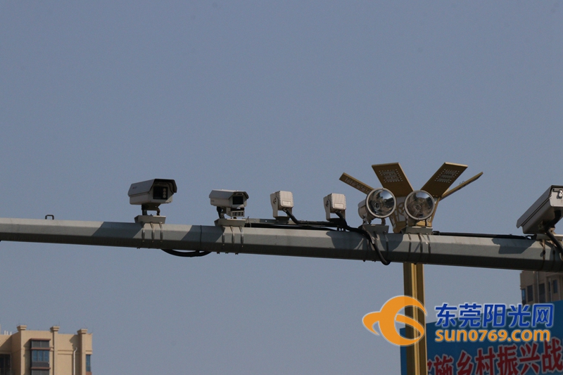 1587108559785610.jpg 2.jpg