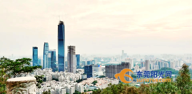 1594867697434929.jpg 1.jpg