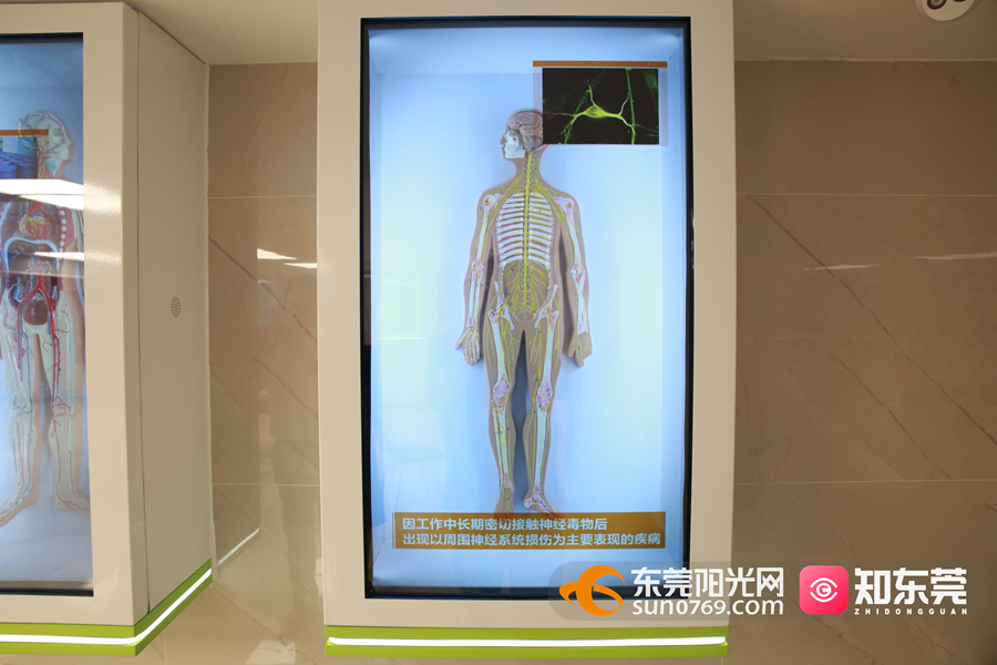 1619347898742046.jpg 人体2.JPG