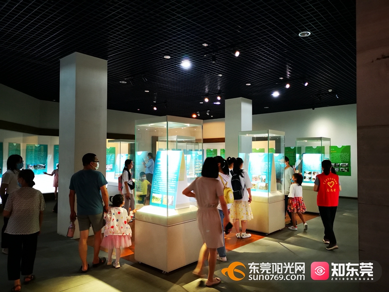 1621222667272543.jpg 7.jpg