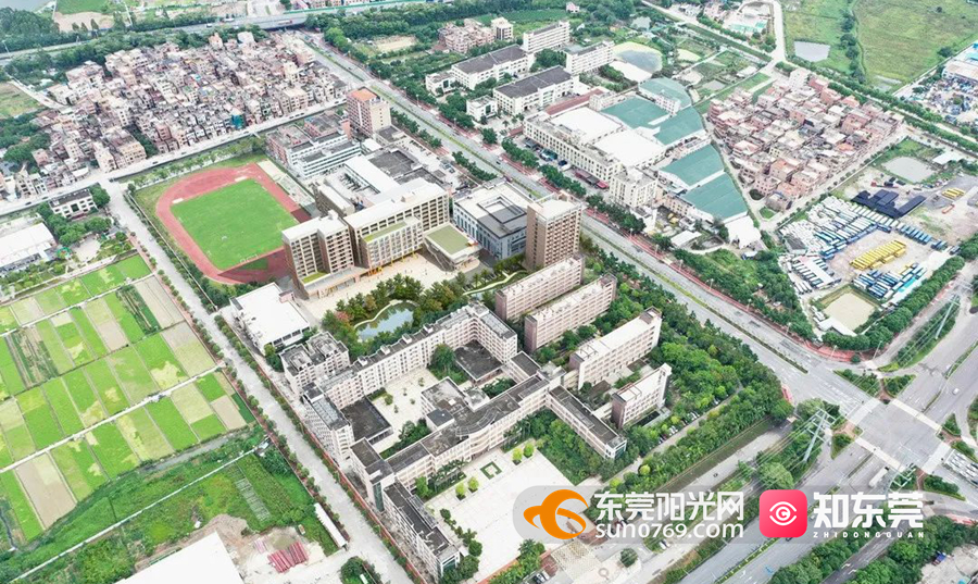 1629987076679487.jpg 1629678337503870.jpg