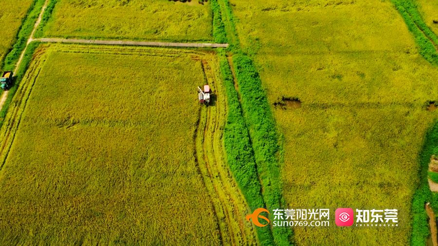 1629987486675268.jpg mark_1626171842467294.jpg