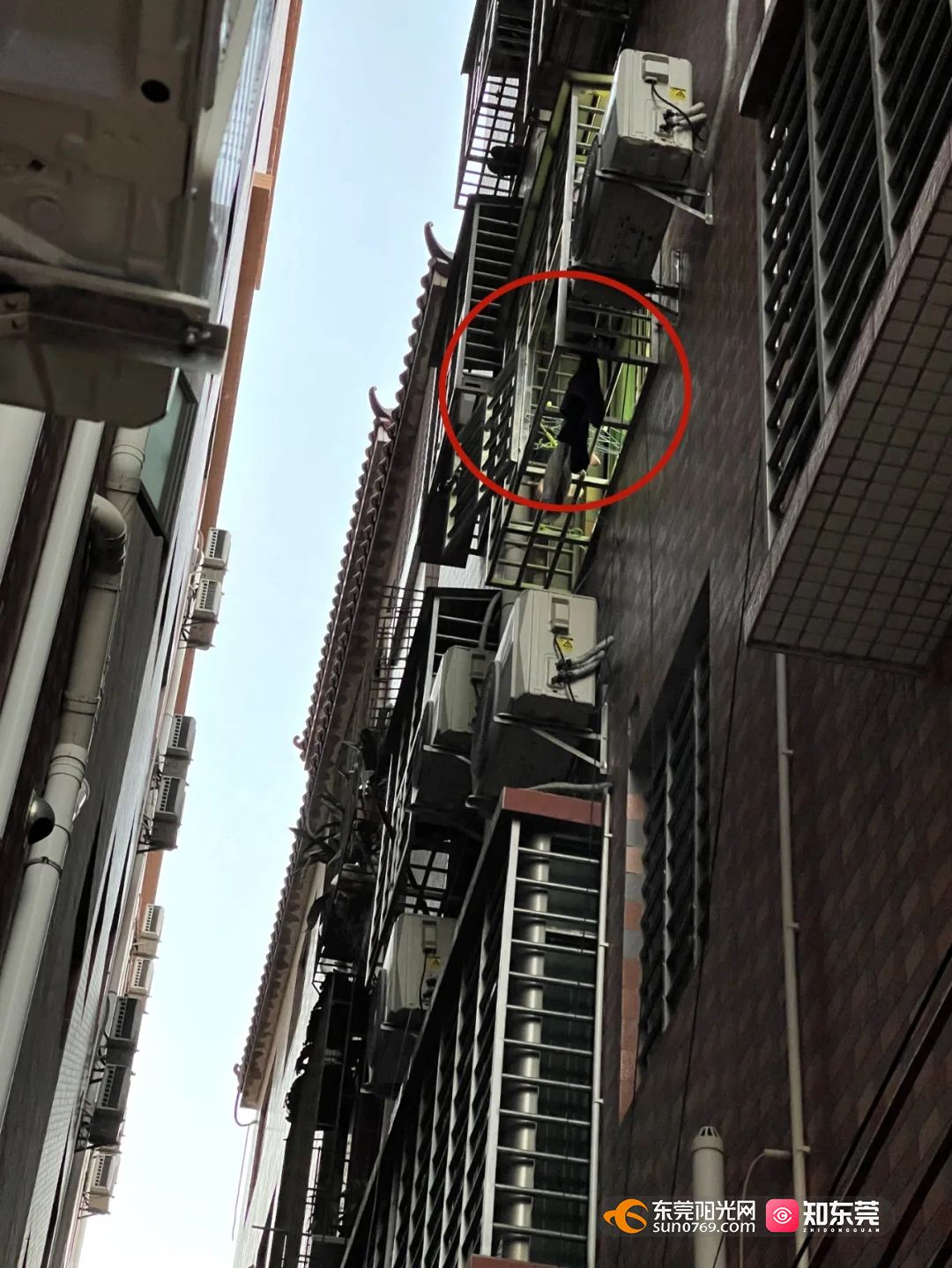 1637565272851207.jpg 2021112210553.jpg