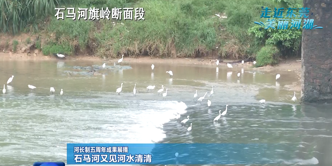 1638447901520962.png image.png