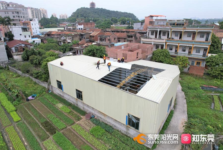 1642061349778521.jpg 1.jpg