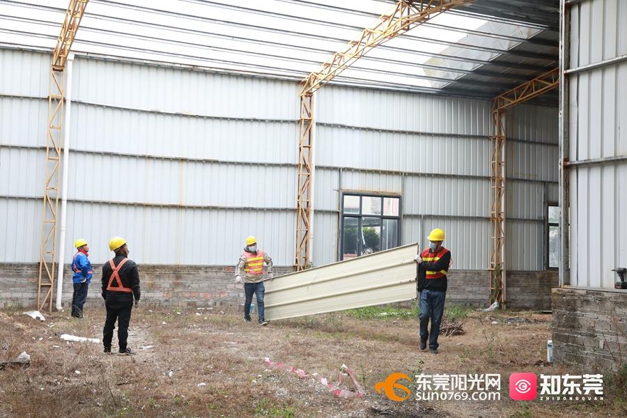 1642061356384294.jpg 2.jpg