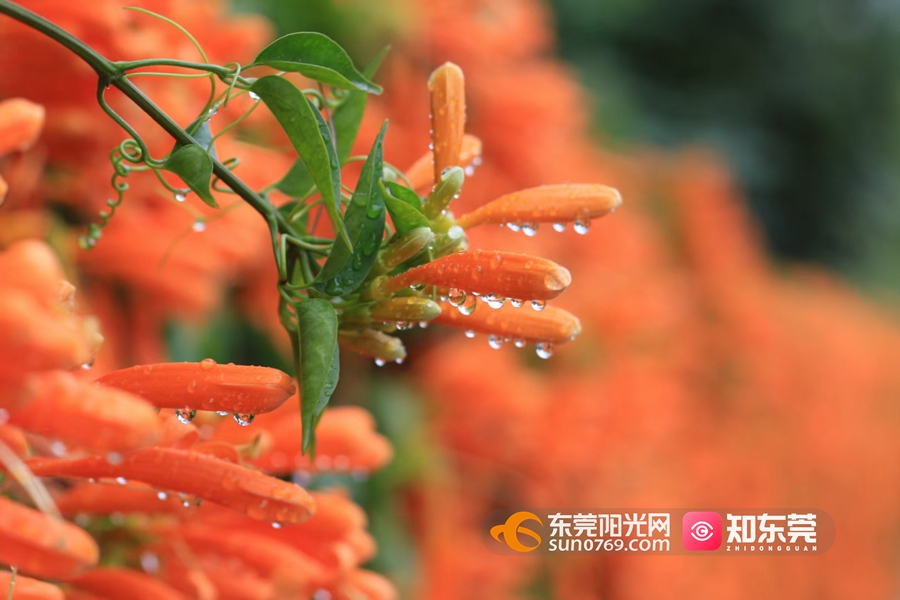 1644024557450517.jpg 1.jpg