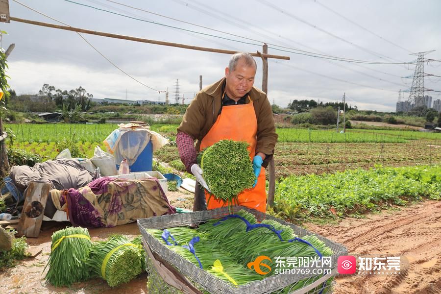 1645685481257754.jpg 202222492327.jpg