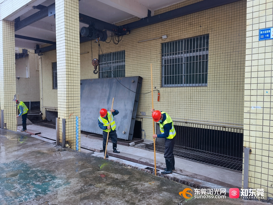 1648264265165795.jpg 2.jpg