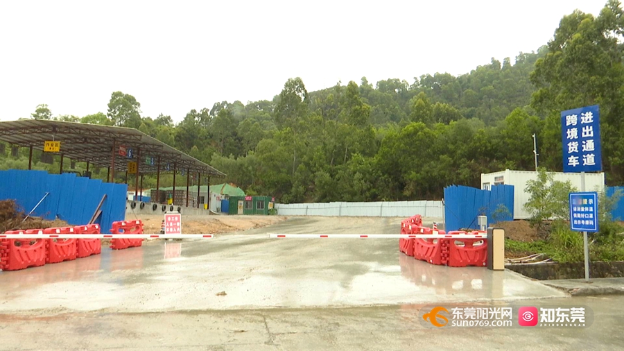 1648459416977461.jpg 1.jpg